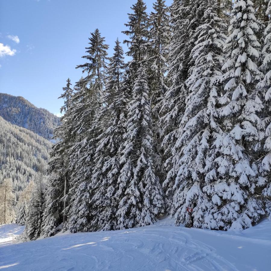 Villa Kofler Wonderland Resort Campitello di Fassa Exteriör bild
